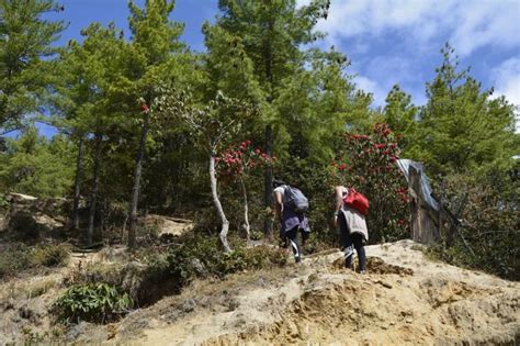 Tiger's Nest in Bhutan - why you shouldn't miss this epic hike !! | The ...