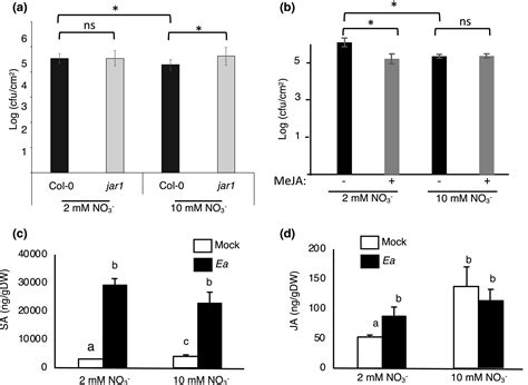 Plant Nitrate Supply Regulates Erwinia Amylovora Virulence Gene