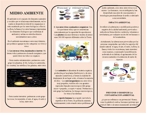 Triptico Del Medio Ambiente 2 MEDIO AMBIENTE El Ambiente Es El