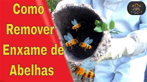 Como Remover Enxame De Abelhas Euclidessantanasantana YouTube