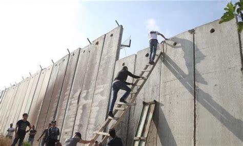 Pemuda Palestina Panjat Tembok Pemisah Demi Bisa Shalat Di Masjidil