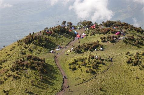 Jalur Pendakian Gunung Merbabu Via Suwanting Dan Wekas Dibuka Lagi 14