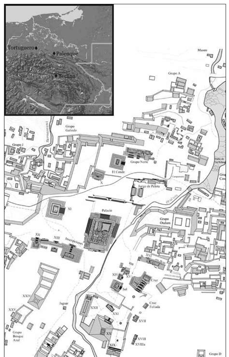 Figure 2 - from The Classic Maya Sarcophagus: Veneration and