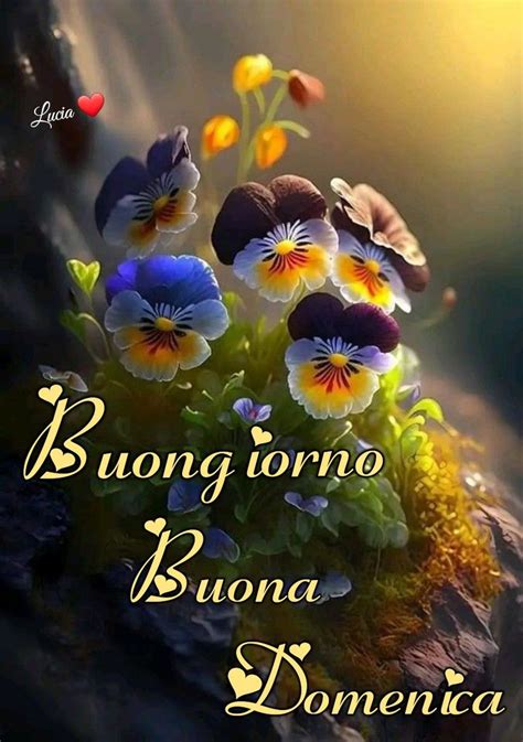 Pin Su Buongiorno Buona Domenica Buongiorno Immagini Auguri Di Buona