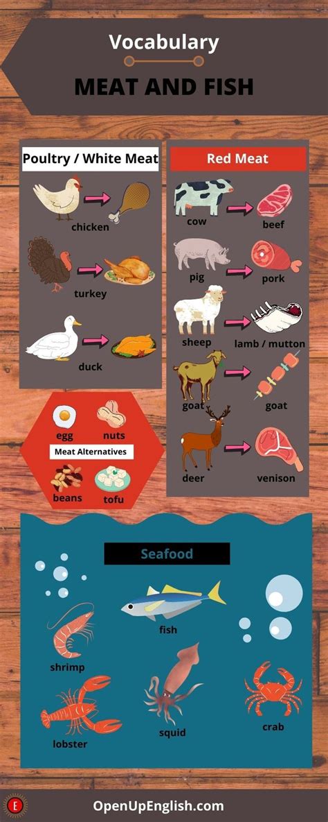 Vocabulary Meat And Fish Food Vocabulary Vocabulary English