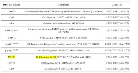 Psd 95 Cell Signaling Technology Inc Bioz