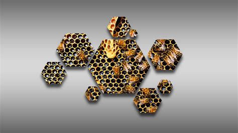 1920x1080 Hexagon Bees Beecube Beehive Hive Honeycombs Honey 275 KB