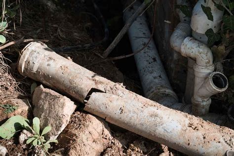 Common Signs Of Compromised Sewer Lines