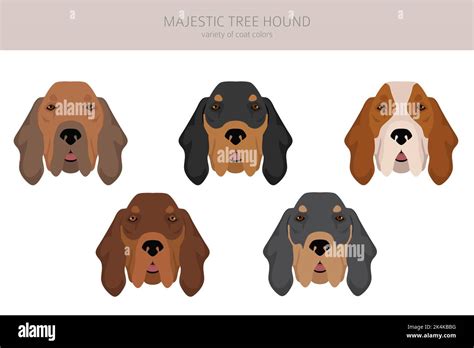 Majestätischer Baumhund Clipart Alle Fellfarben eingestellt Alle