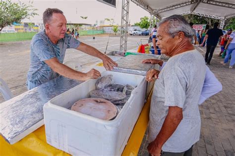 Semana do Pescado da Cecaf reúne peixes frutos do mar produtos