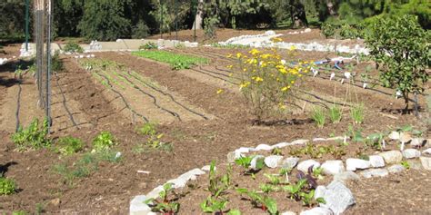 During Quarantine Build This Super Simple Raised Bed To Maximize Your