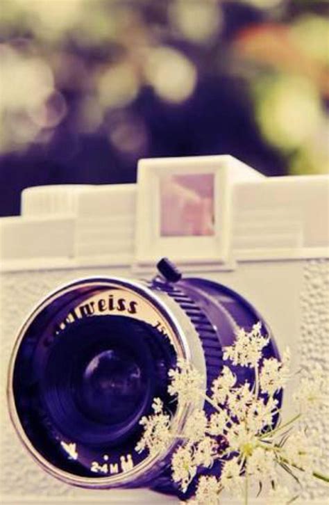 Cute Camera Wallpapers - Top Free Cute Camera Backgrounds - WallpaperAccess