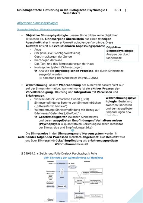 Zusammenfassung Biologische Psychologie Nach Birbaumer