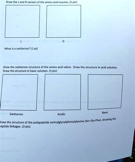 Solved Text Draw The L Form Of The Amino Acid Leucine Pts What