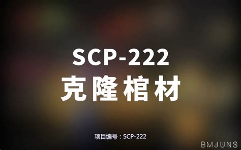 【scp 222 克隆棺材】可能是史上最全的音频scp档案！！【scp基金会】 崇文大老谢 崇文大老谢 哔哩哔哩视频