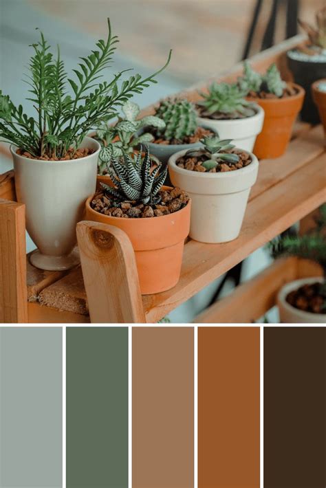 Potted Plant Color Palettes This Growing Home House Color Palettes