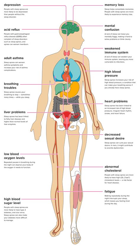 The Effects of Sleep Apnea on the Body