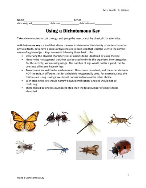 Using A Dichotomous Key