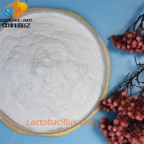 Food Grade Lactobacillus Casei Probiotic Powder For Digestive System