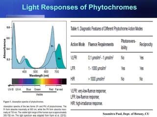 Sensory Photobiology Ppt