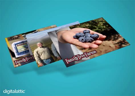 Portfolio - Family Tree Farms - Digital Attic