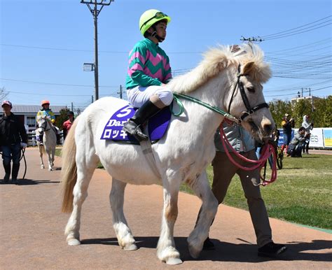 パカパカ工房 On Twitter 【ダーレージャパン杯・第2回門別ポニーレース（darley Japan Cup）】出走馬は全7頭。④