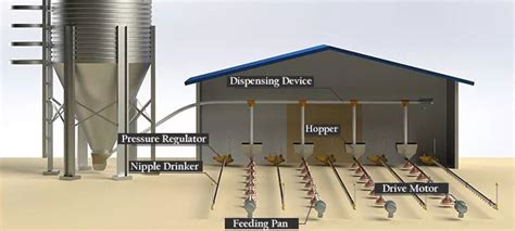 Pan Feeding System Pan Feeders For Poultry Famtech