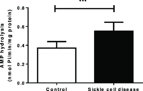 Amp Hydrolysis By 5 0 Nucleotidase In Serum Of Control And Patients