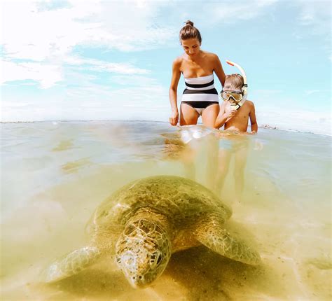 Where To See Turtles In Sri Lanka Travellers Isle