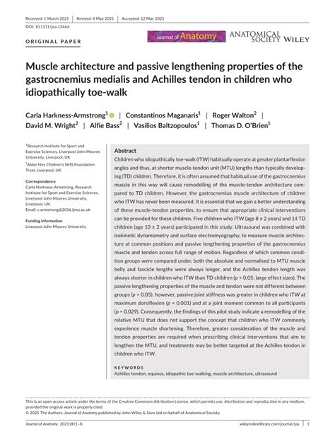 Pdf Muscle Architecture And Passive Lengthening Properties Of The