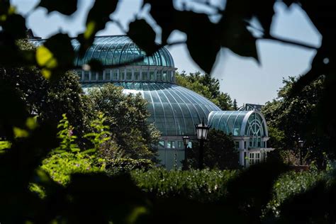 Everything You Need To Know Before Visiting Brooklyn Botanic Garden ...