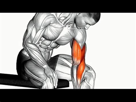 Get Bicep Pump Workout Academy YouTube