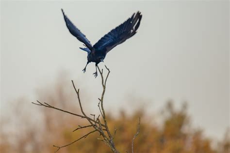 Jetzt Passts Januar 2021 Technik Naturfoto