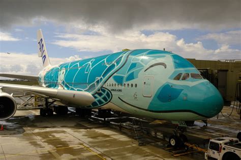 【ハワイ】ana エアバスa380「flying Honu」座席の選び方 カメラ片手に旅に出よう！