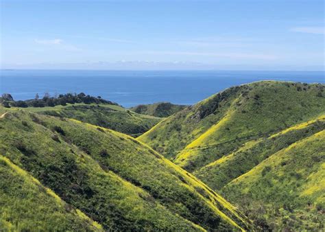 Must-Do Hikes in Los Angeles - Clearly Caroline