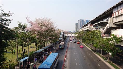 CHATUCHAK ART & NATURE HOUSE, BANGKOK