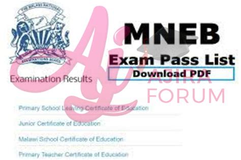 Standard 8 Maneb Results 2023 Pdf Download Pass List