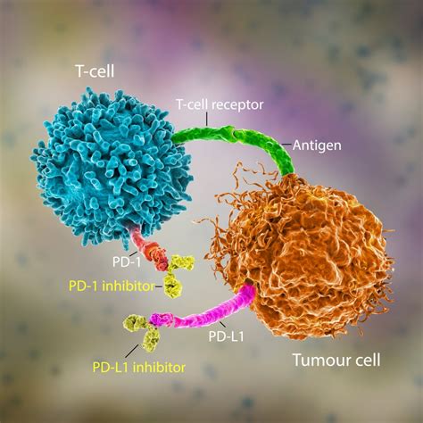 Antidepressants Show Promise In Cancer Growth Inhibition Healthcare