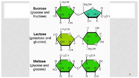 Biochemistry I Carbohydrate Carbohydrate Ch On