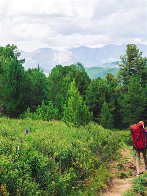 Pacific Crest Trail Oregon Hiking And Backpacking Tour 57hours