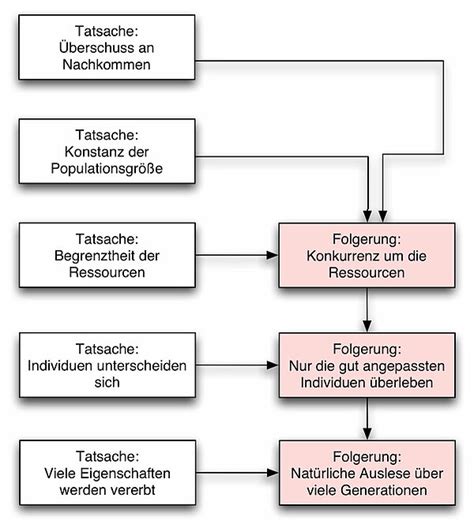 U Helmich De Jahrhundert Darwin