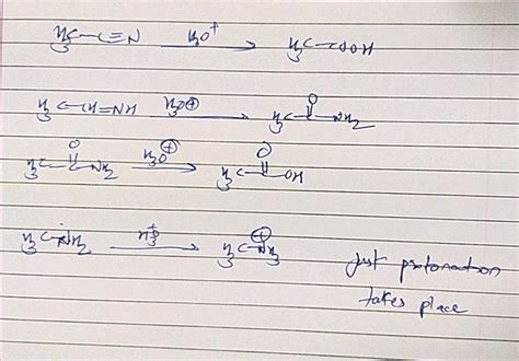 0 0 TUIVAL AND CHEMICAL PROPERTIES 14 Which Of The Following