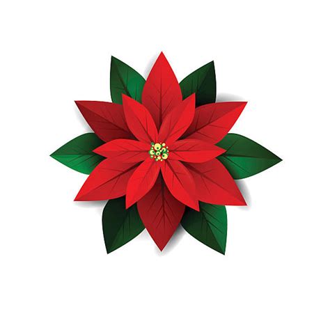 christmas flower clipart 20 free Cliparts | Download images on ...