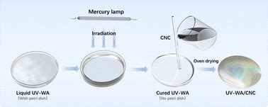 Improving The Decorative Performance Of Uv Curable Coatings With