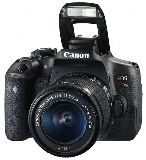 Canon EOS 80D (MASSIVE Review for 2024)