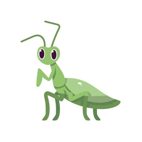 Cricket Animal Cartoon Illustrations, Royalty-Free Vector Graphics ...