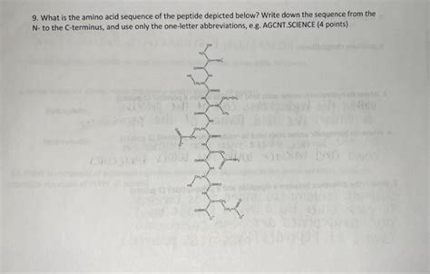 Solved 9. What is the amino acid sequence of the peptide | Chegg.com