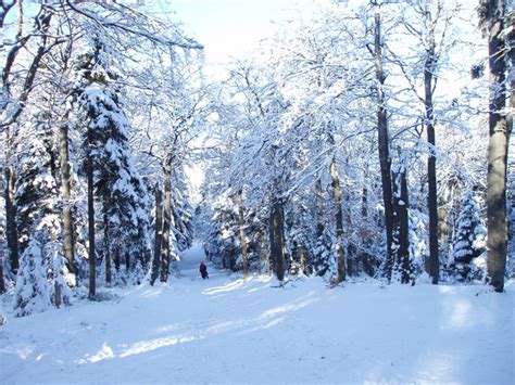 Zima W Beskidach Szyndzielnia