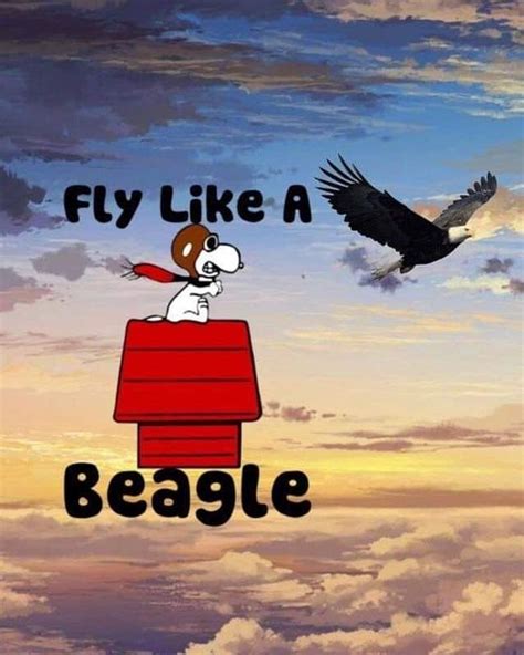 Pin By Lisa Peterson On Peanuts Summer Snoopy Funny Snoopy Pictures