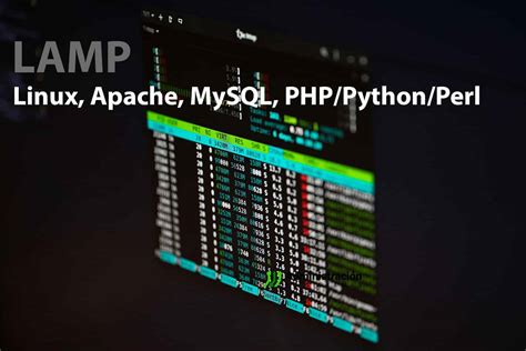 Configuraci N De Un Servidor Lamp Linux Apache Mysql Php Python